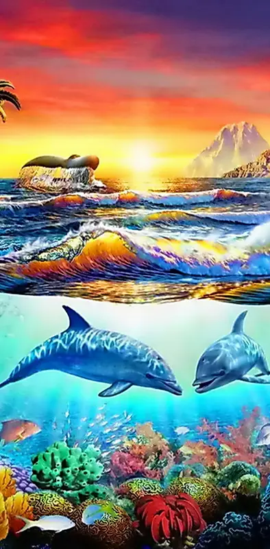 Dolphins Paradise