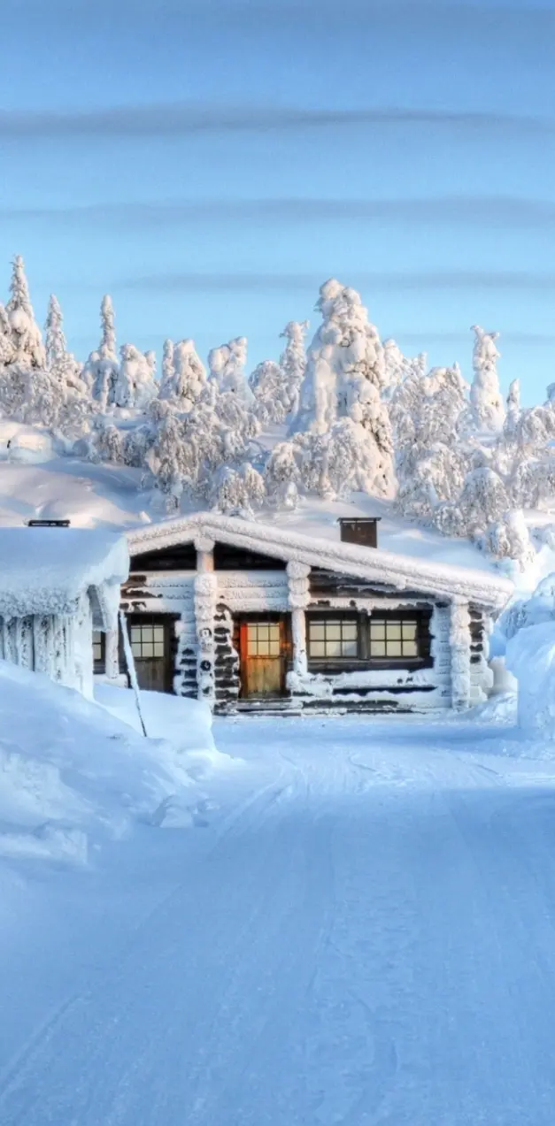 Winter Home