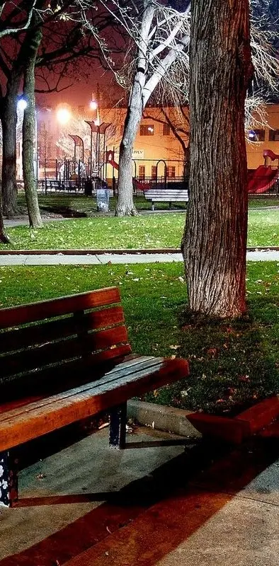 park bench at night