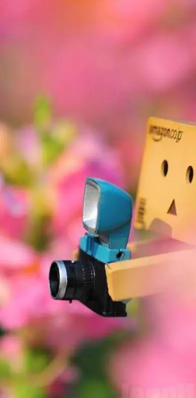 Danbo With Cam