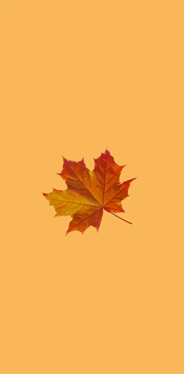Autumn leaves 