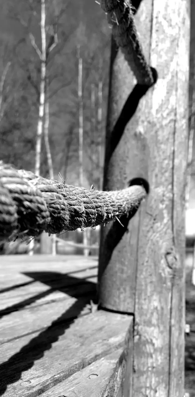 Rope and Wood
