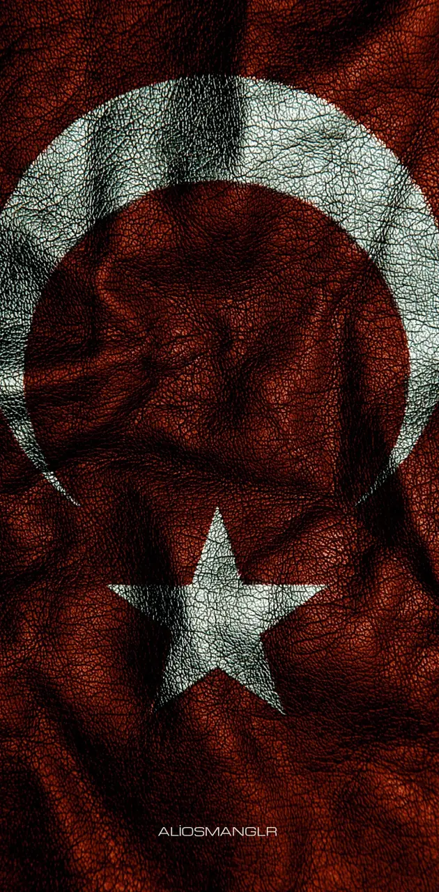 Turk Bayrak
