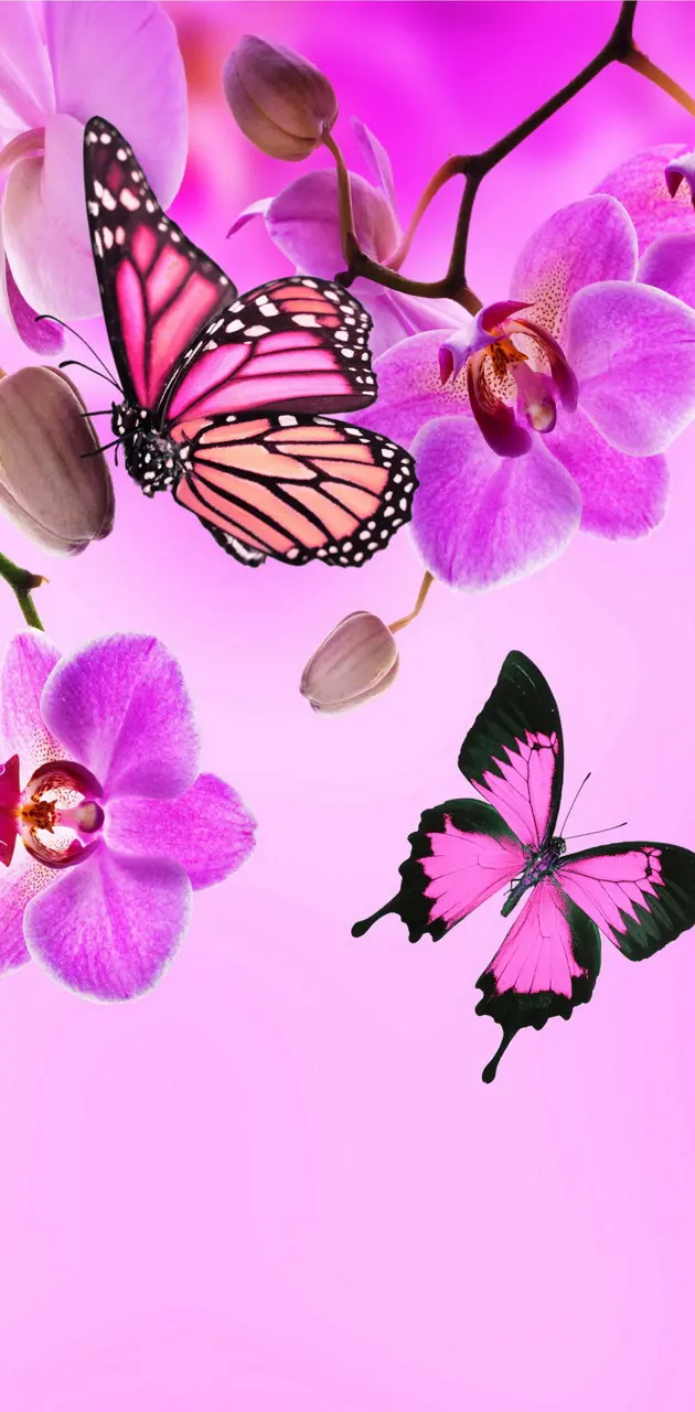 Floral Butterflies