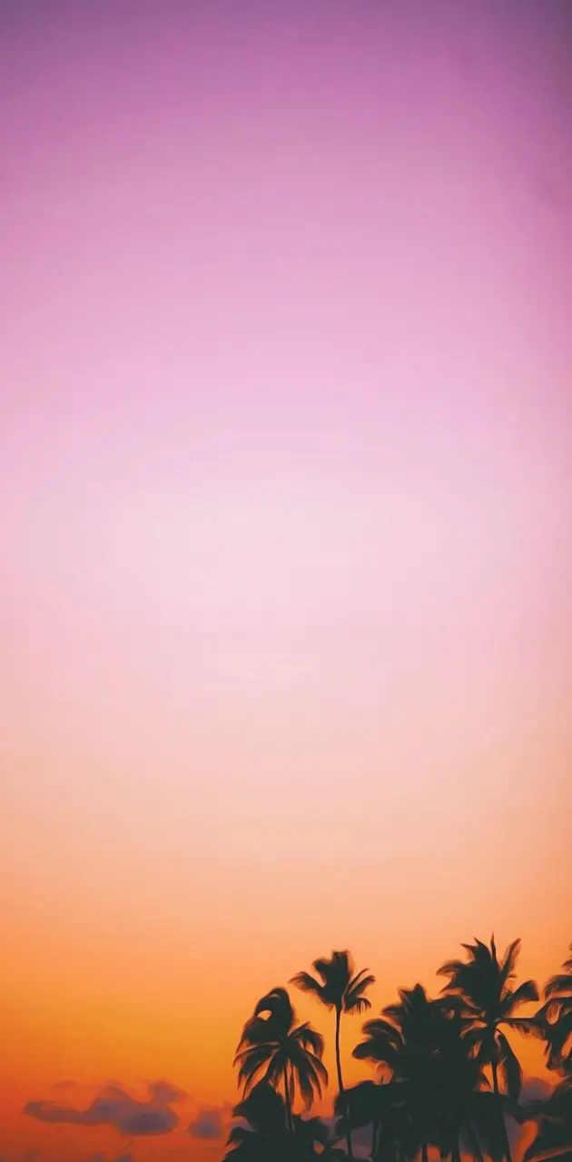 Pink Panorama Ocean