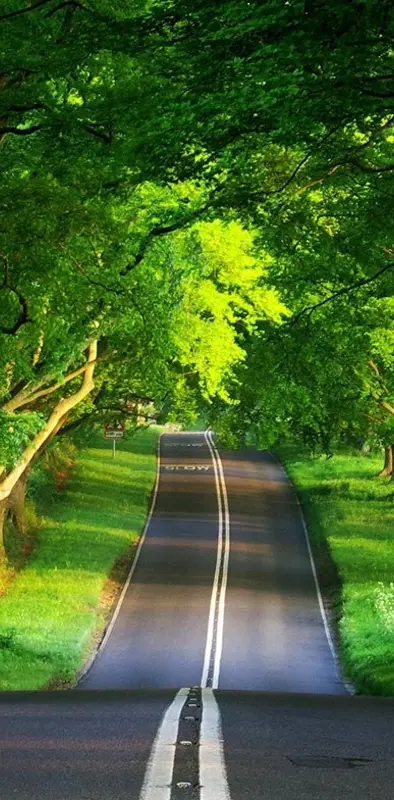 Wonderful Road