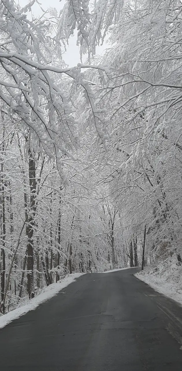 Wintery Drive