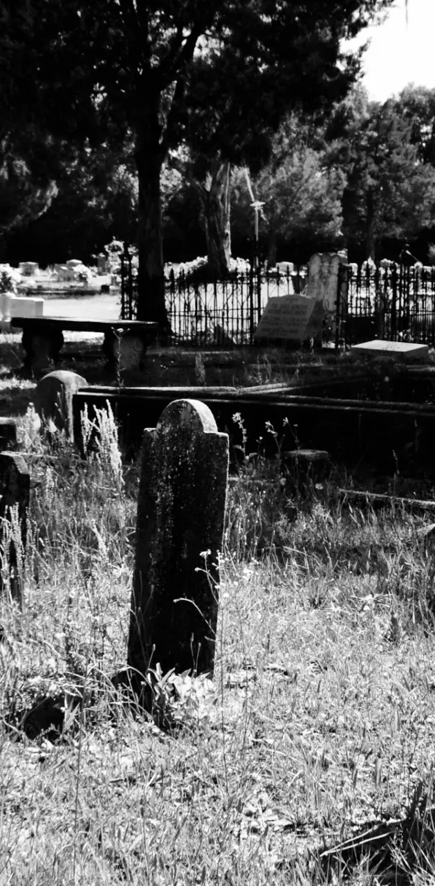 Goth cemetery 
