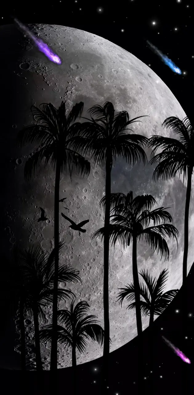 Palmtrees in moonlight