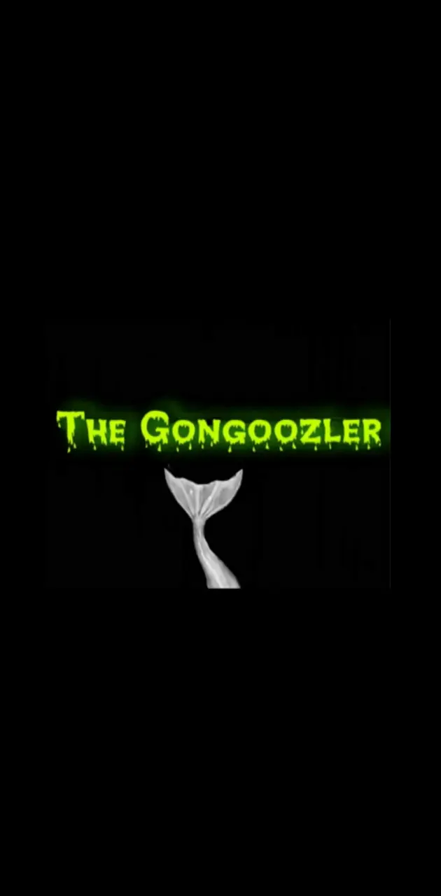 The gongoozler