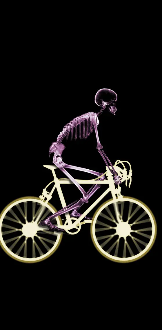 Skeleton Cycle