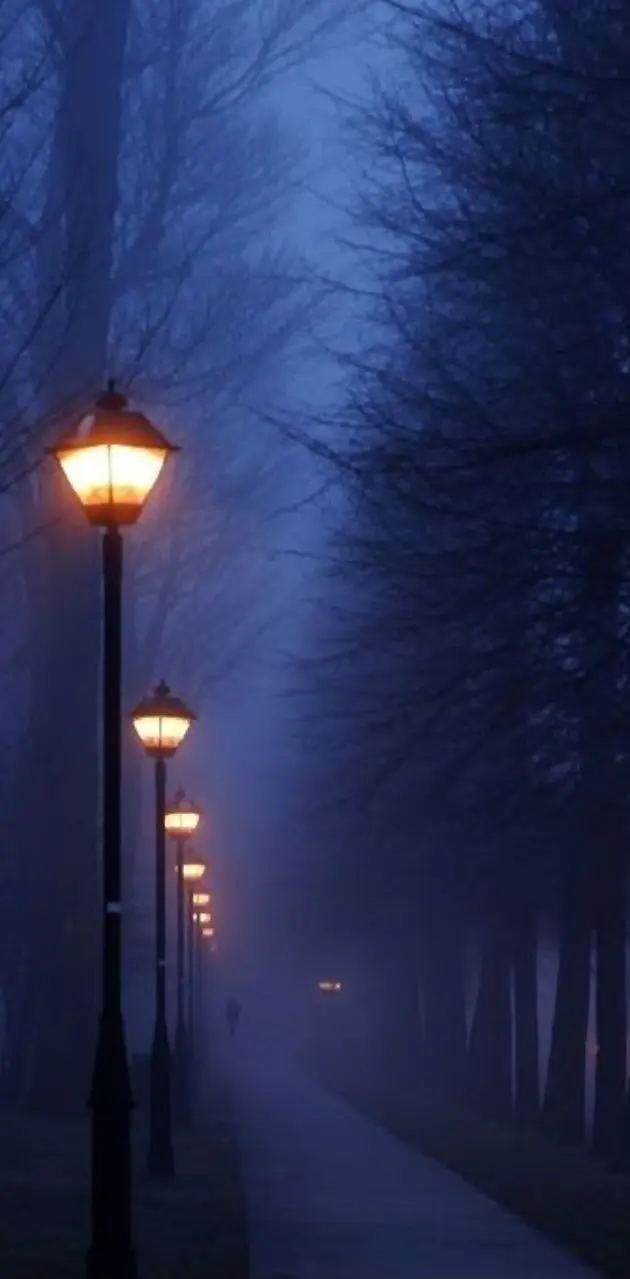 Foggy Night Paris