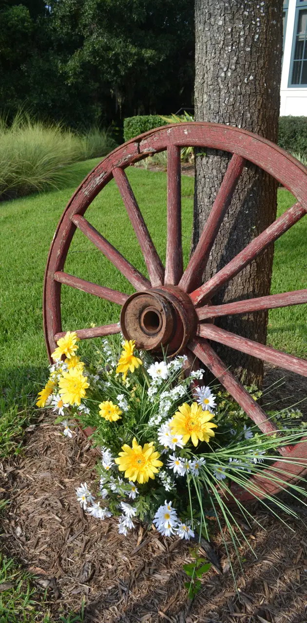 Wheel and Flowers