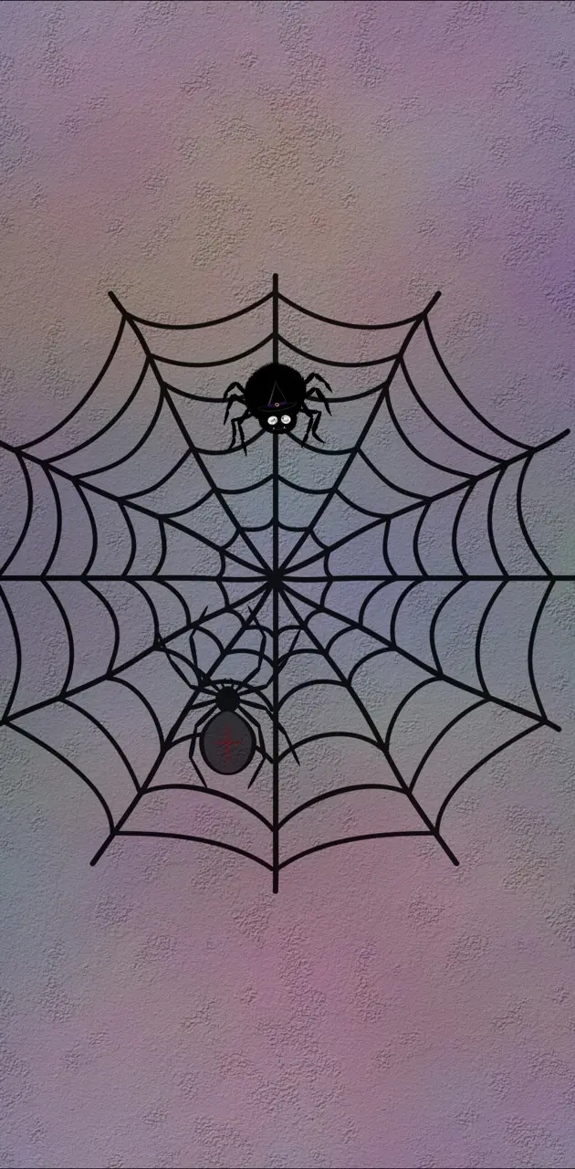 Spider Net