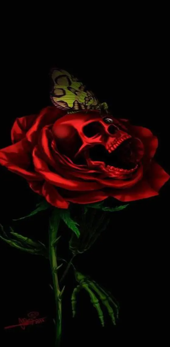 Skull  and Rose