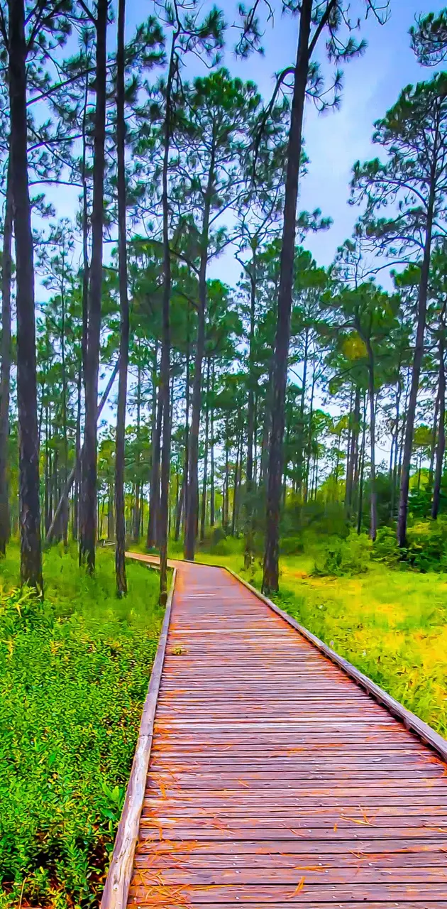 Peaceful pathway