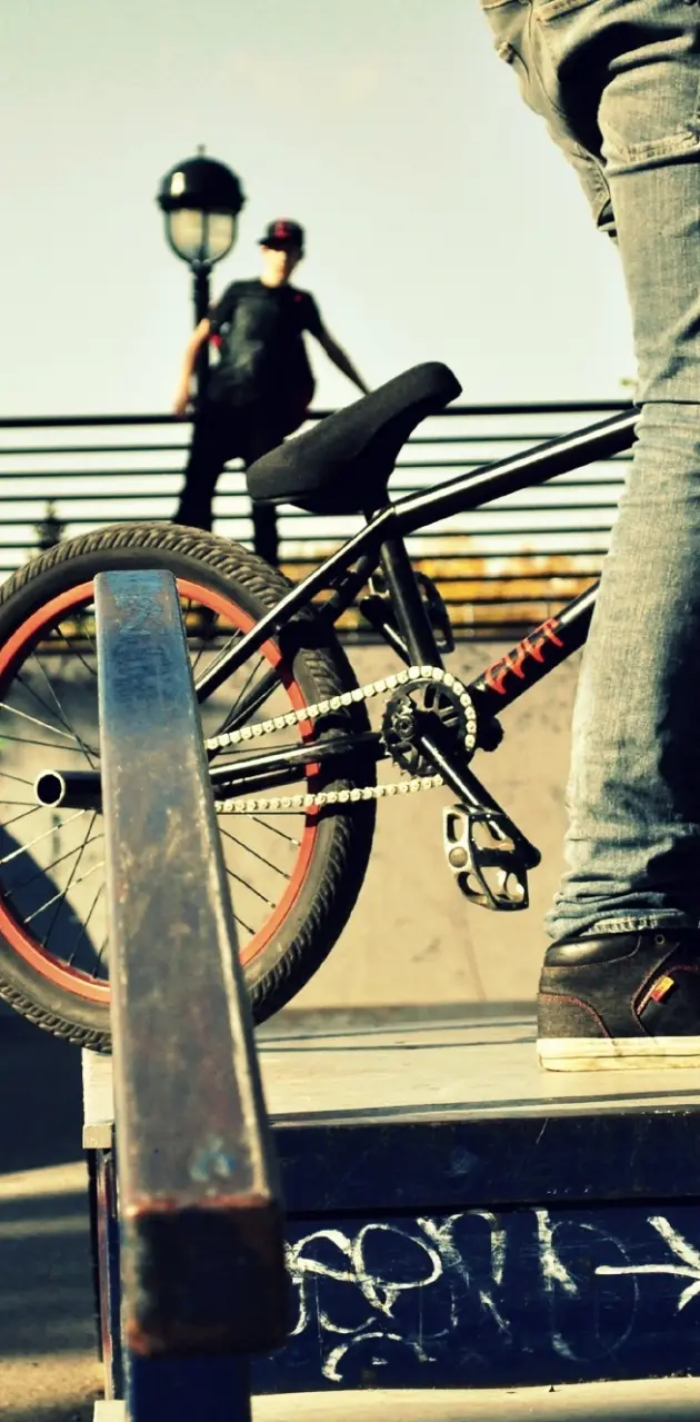 Bike Skate Park