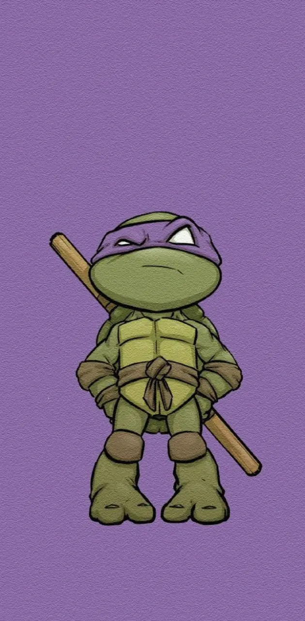 Ninja Turtles Purple
