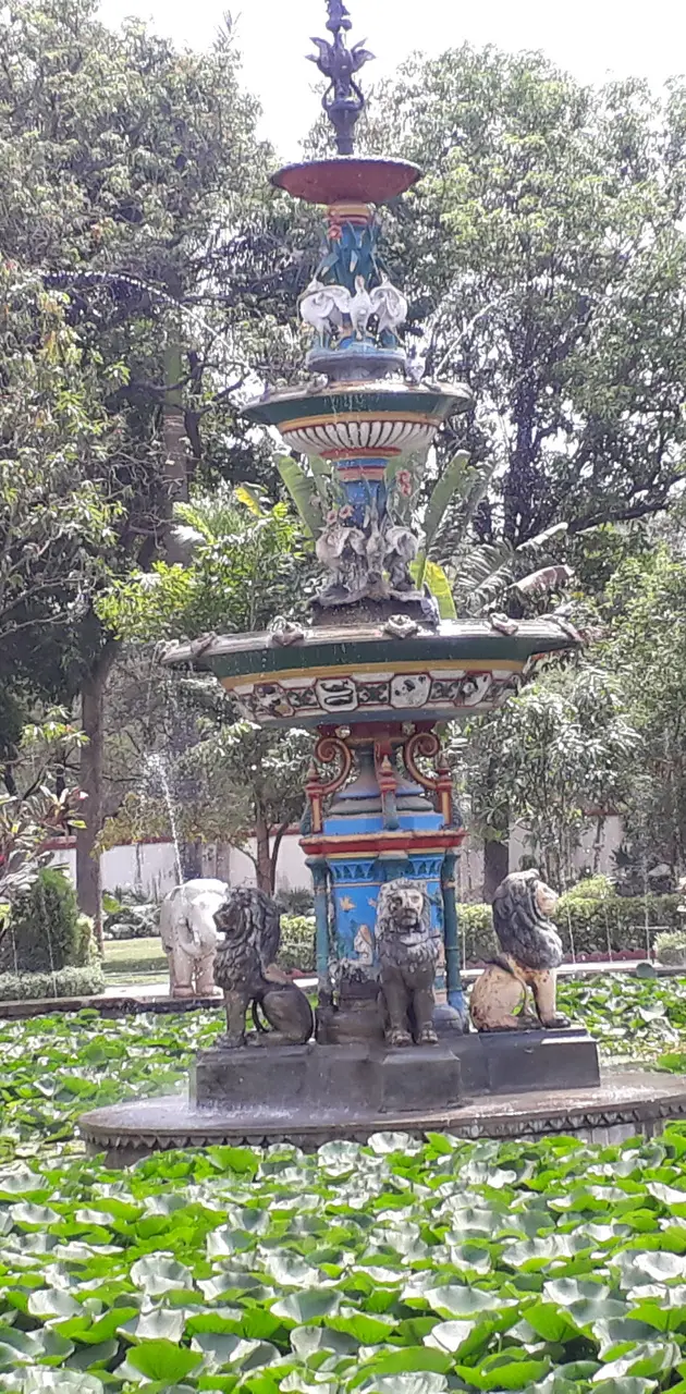 Sukhadia fountain