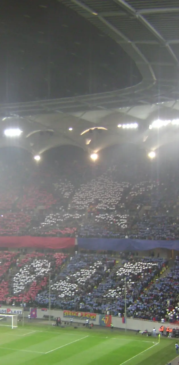Steaua Supporters