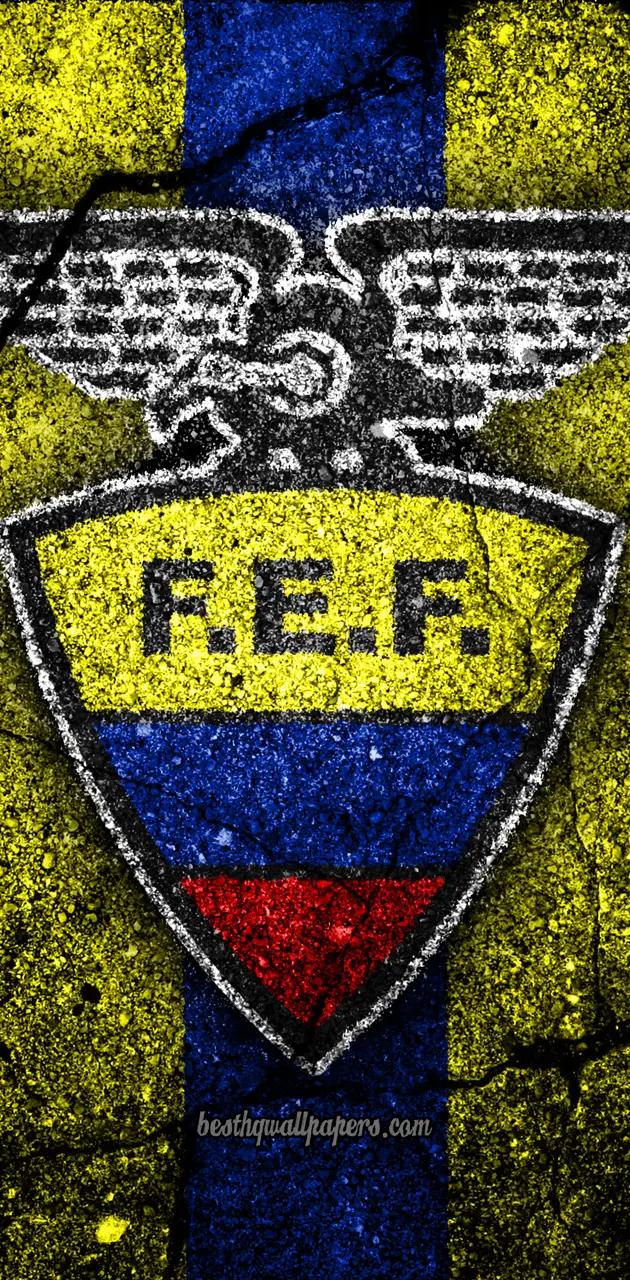 Ecuador Football