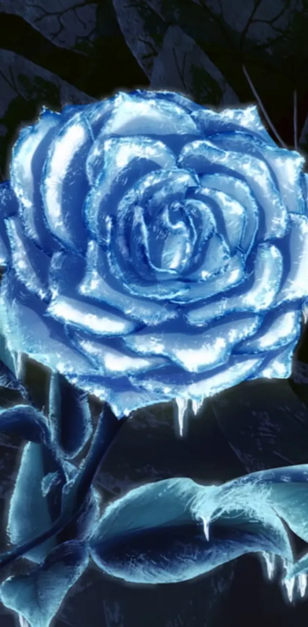 Frost Rose