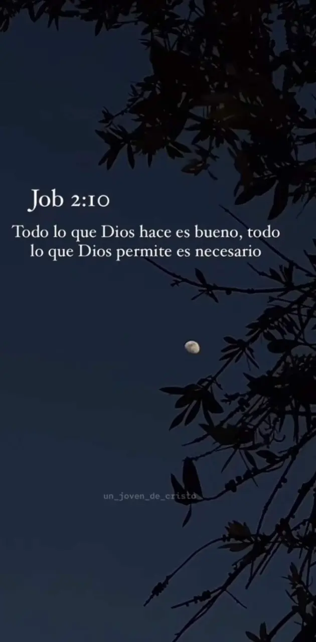 Job 2:10