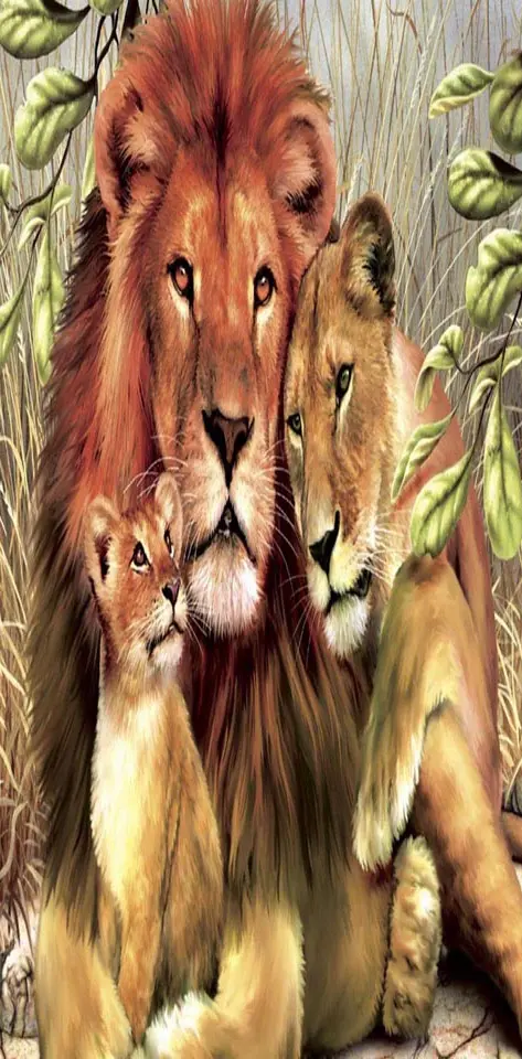 3 Animals Lion