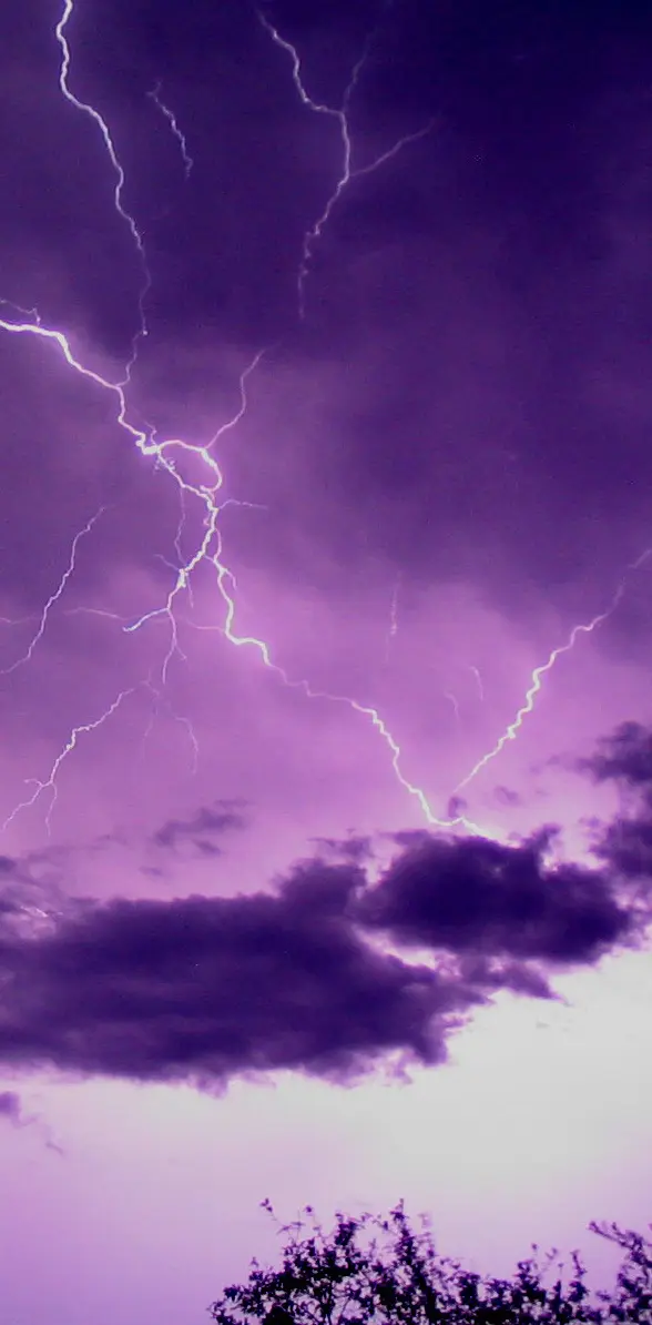 Purple Storm