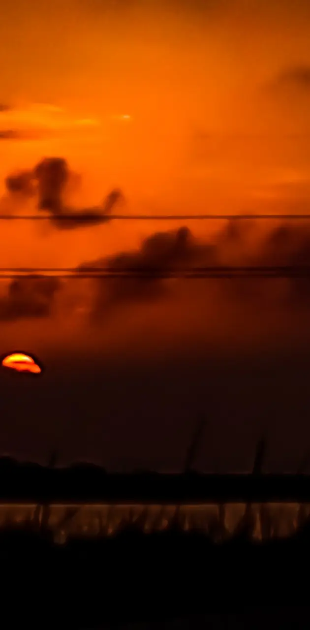 Dune Sunset