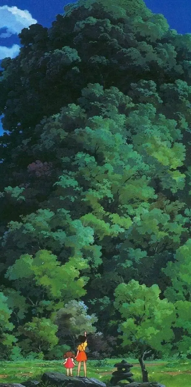 Aesthetic Forest