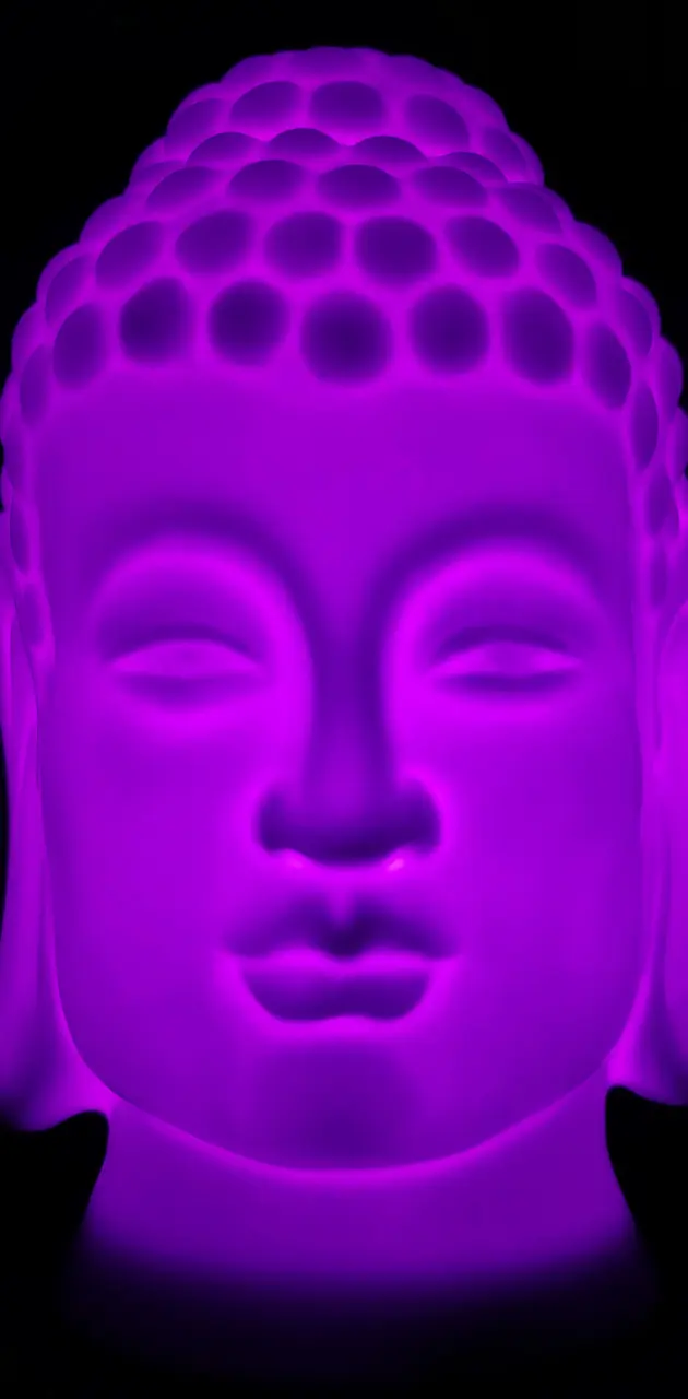 Purple Enlightened 