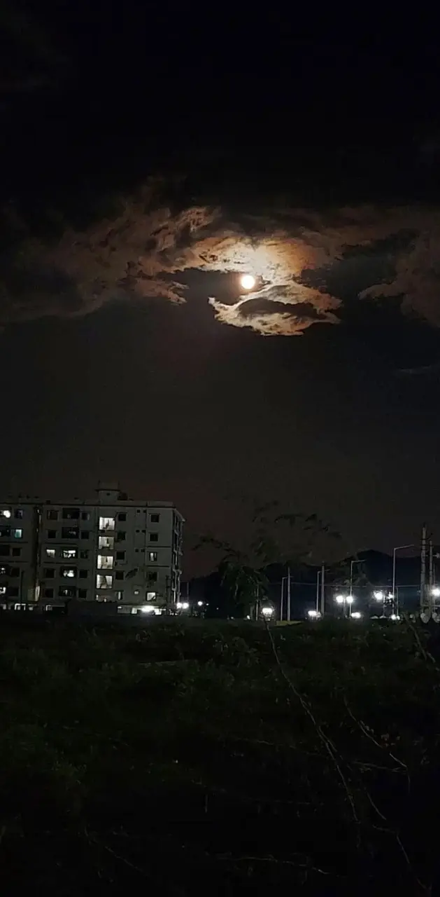 Night view moon