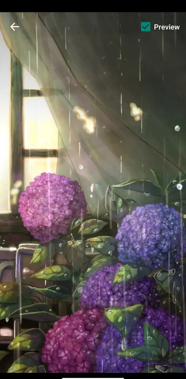 Anime Flower Rain 3