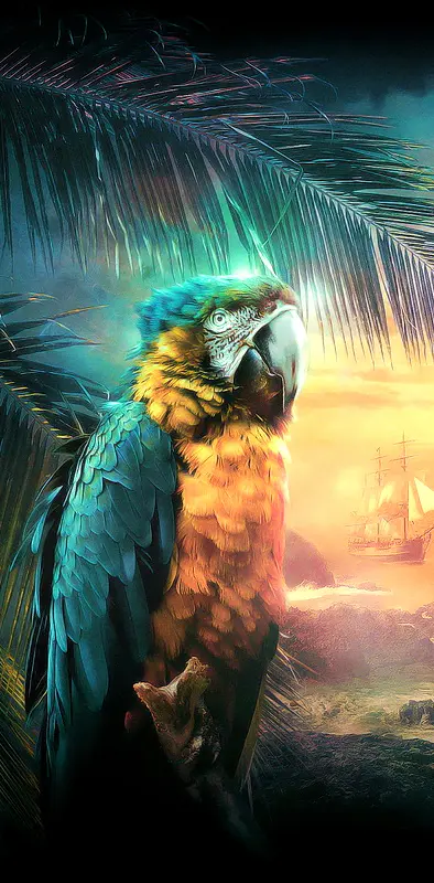 Pirate Parrot