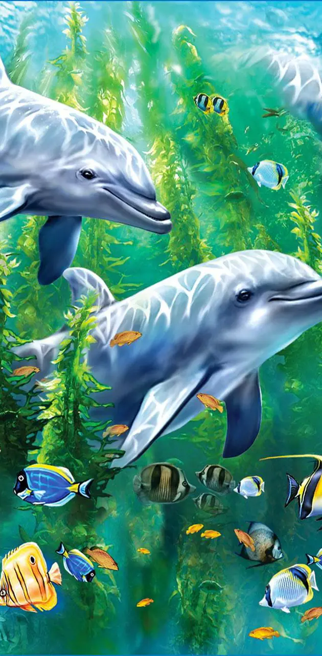Underwater  Delfine