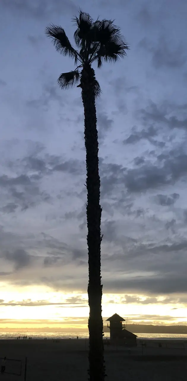 San Diego sunset