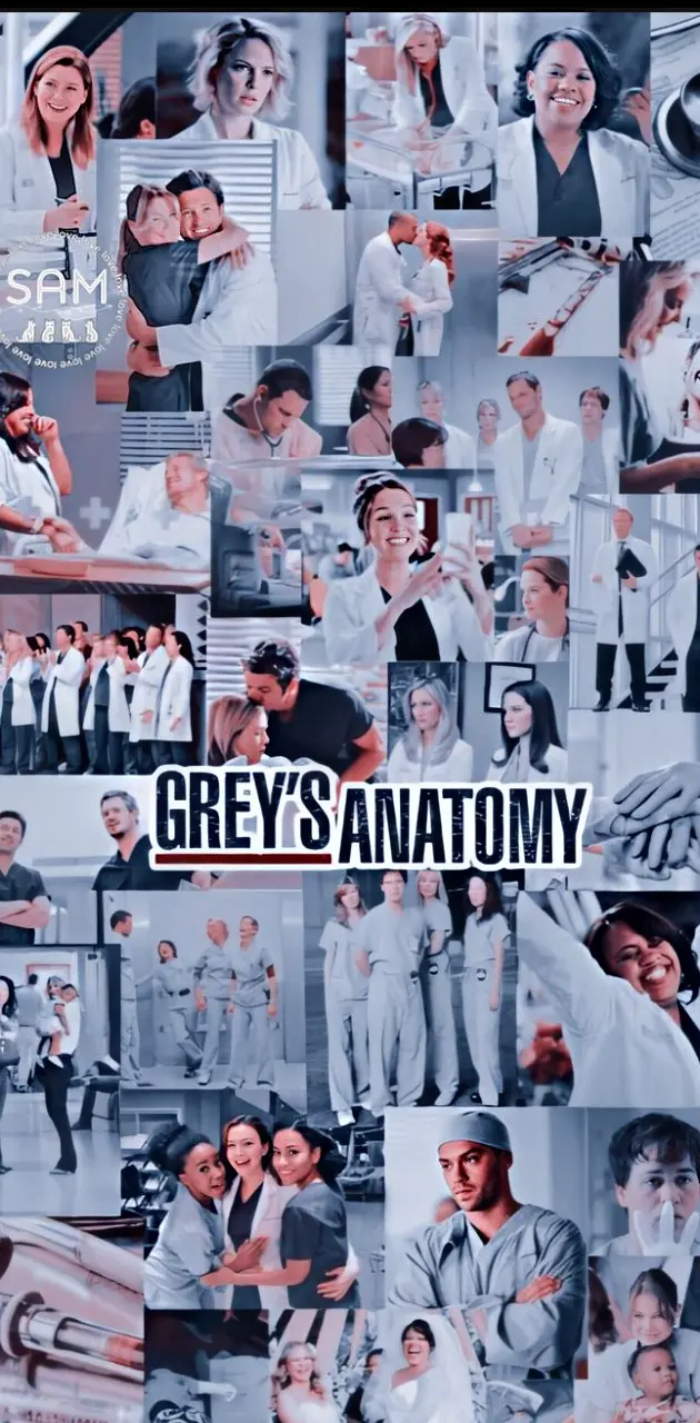 Greys anatomy back