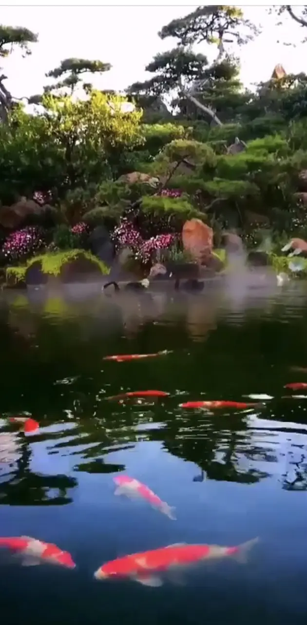 China garden