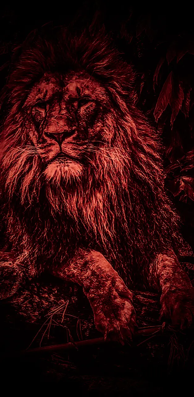 Lion in Red