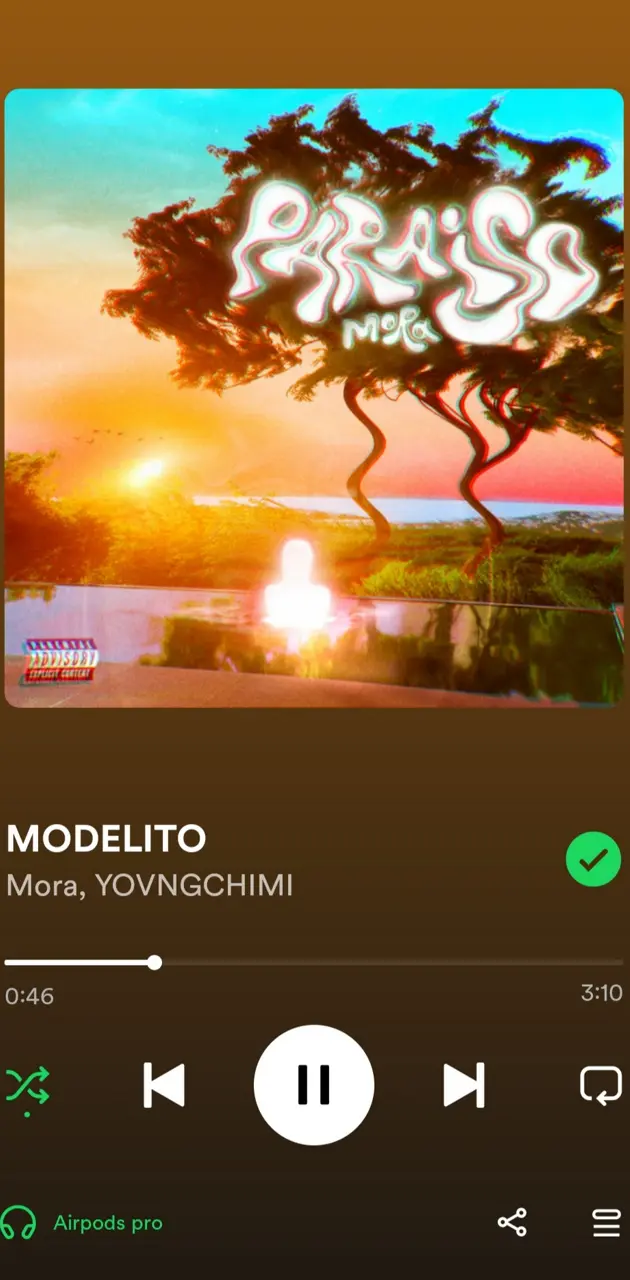 Spotify "modelito"
