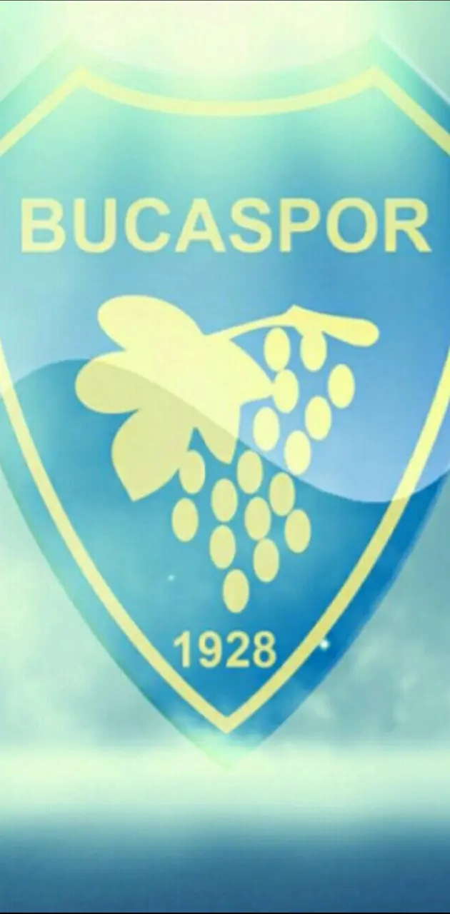 Bucaspor FC 1928