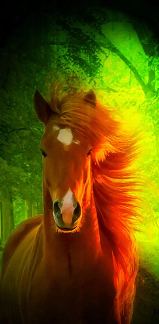 3d Nature And Horse