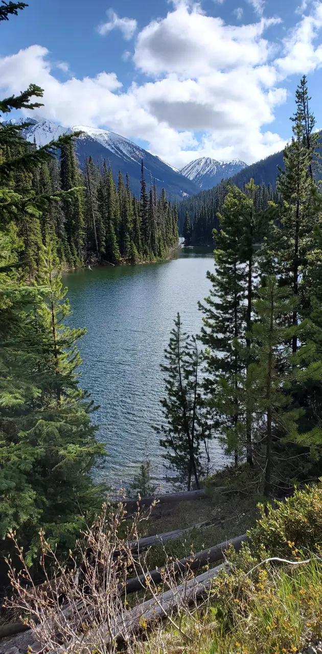 Canada- landscape 