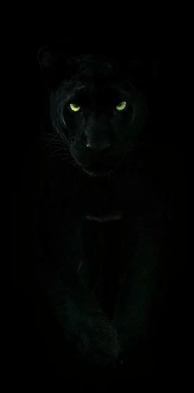 Black panther wallpaper by Quangz - Download on ZEDGE™ | fbcb