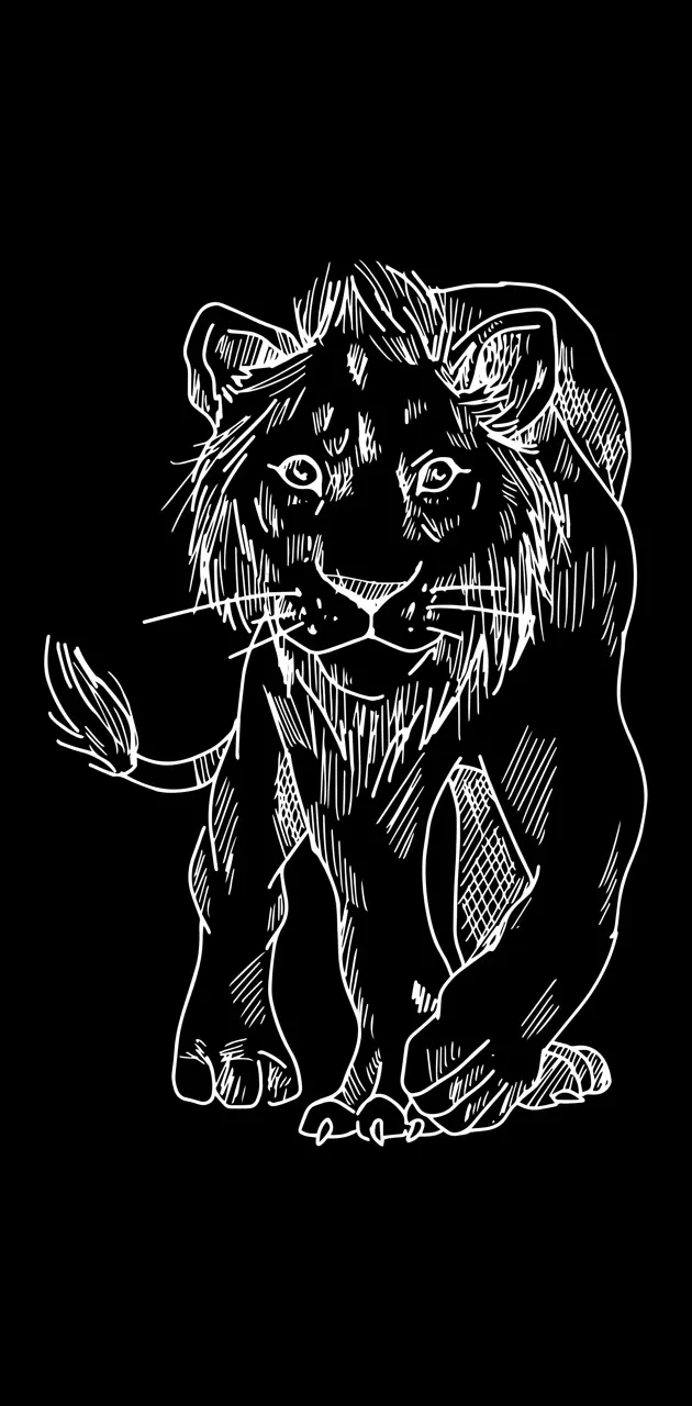 lion front sketch