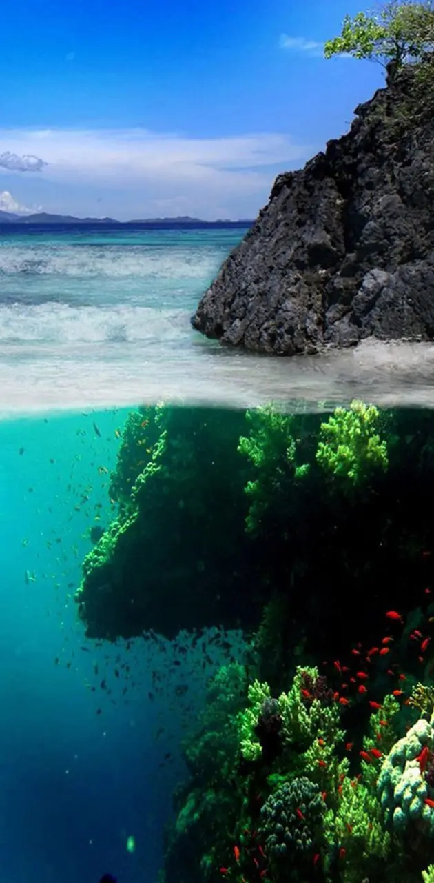 Underwater wonder