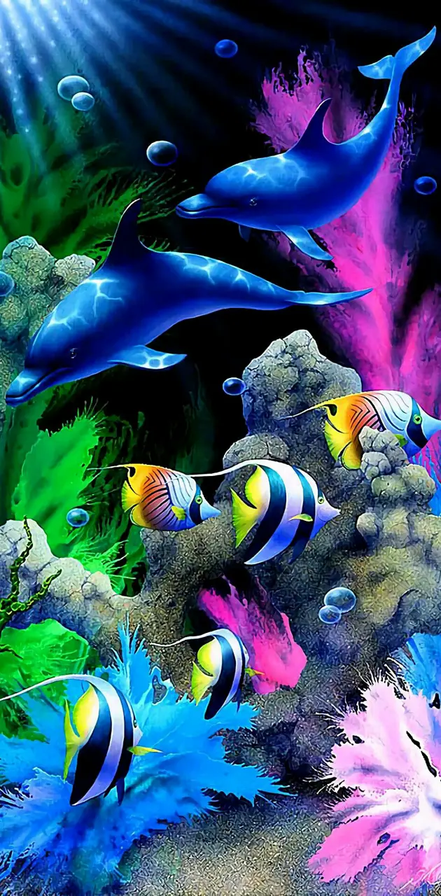 Fish colors