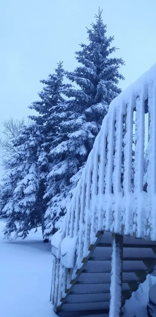 Winter in Winnipeg 