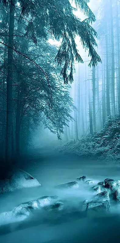 Blue Misty Forest